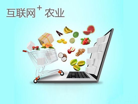 互联网农业到底该做什么？
